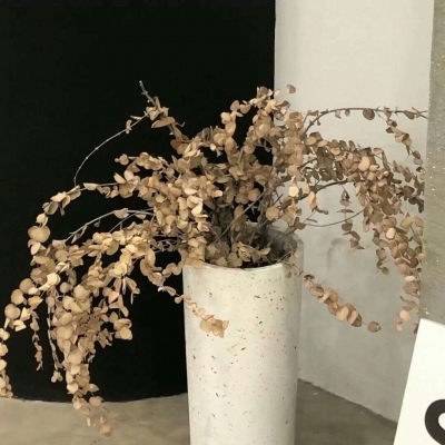 Furry绘画工具推荐福瑞交流群